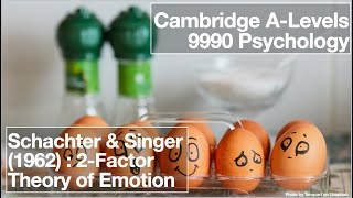 Emotion Schachter amp Singers Two Factor Theory [upl. by Melly]