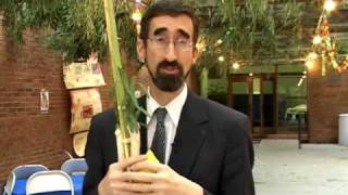 Lulav and Esrog Explained [upl. by Volnay]