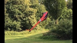 Goblin 570 Sport Backyard flight [upl. by Delisle299]