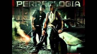 Alexis y Fido  Energia Perreologia Official Preview [upl. by Yeslrahc]