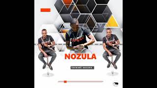 Nozula ft Mpilinzima  esiswini sikamama  OFFICIAL AUDIO [upl. by Grimbly]