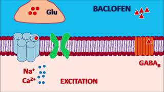 Baclofen  Mechanism side effects precautions and uses [upl. by Dnob]