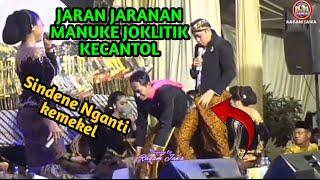 TERBARU JOKLITIK MANUK E KECANTOL NGAKAK POLL [upl. by Isus273]