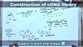 cDNA library ll biology ll [upl. by Romanas]