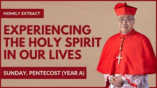 Experiencing The Holy Spirit In Our Lives  William Cardinal Goh Homily  28 May 2023 [upl. by Erreipnaej]