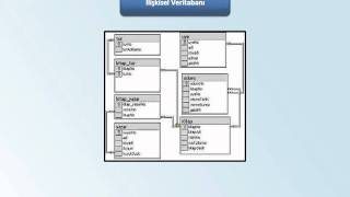 PHPMYSQL  11 İçerik Yön Sis Yapısı 03 İlişkisel Veritabanı [upl. by Ahron916]