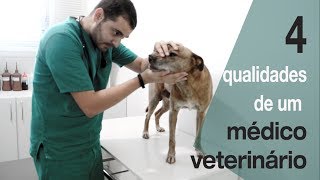 Quer ser veterinário Veja esse vídeo antes [upl. by Annehsat]