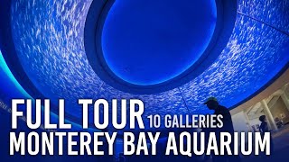 Zoo Tours Monterey Bay Aquarium  FULL TOUR [upl. by Wolliw]