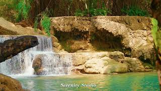 Relaxation and calm with prepossessing waterfall landscape هدوء واستكنان مع منظر الشلال الخلاب [upl. by Nyledam]