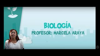 Biología  Clase Nº13  Fecundación y hormonas del embarazo [upl. by Ilke]