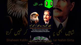 Shaheen Kabhi Parwaz Se Thak Kar Nahin Girta  ZarbeKaleem 077  Shayari allamaiqbal iqbaliyat [upl. by Gemoets]