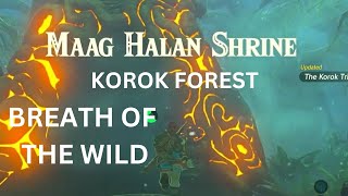 MAAG HALAN SHRINE KOROK FOREST THE LEGEND OF ZELDA BREATH OF THE WILD [upl. by Levey]