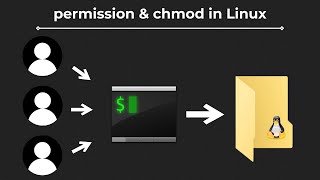 File permission and chmod command in Linux explained in under 5 minutes [upl. by Russ]