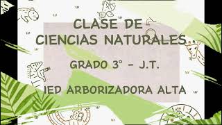 CLASE DE CIENCIAS NATURALES  GRADO 3° JT IED ARBORIZADORA ALTA  ANIMALES VERTEBRADOS [upl. by Eskill]