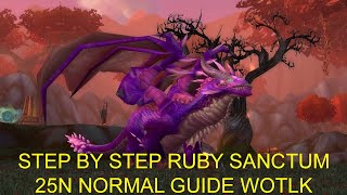 Ruby Sanctum Normal Guide WOTLK 335 HealDPS Positioning [upl. by Akapol]