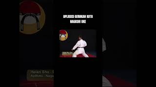 Aplikasi Gerakan Kata Heian Shodan  Nagashi Uke bunkai kata karate [upl. by Nnaeerb]