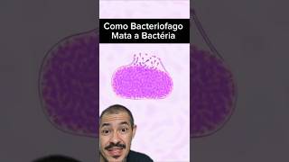 O Vírus que as Bactérias não Gostam curiosidades microscopio virus biologia bacteria biologo [upl. by Lejeune]