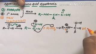 Strecker Synthesis of amino acid [upl. by Aitnauq414]