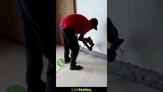 Termite Control Service  Termite Management at Home  Call Pestico shorts [upl. by Burgwell]