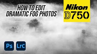 Nikon D750  How To Edit Dramatic Fog Photos [upl. by Meehaf]