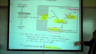 SYNAPTIC TRANSMISSION IN THE CNS PART 2 by Professor Fink [upl. by Marcelline]