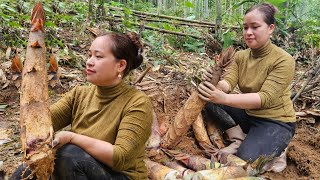 Harvesting Bamboo Shoots  Sour Fermentation Process  Make Steamed Cakes [upl. by Able]