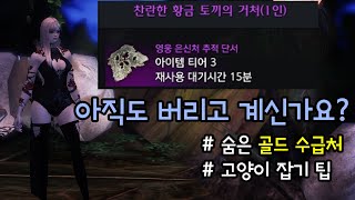 로스트아크수렵 지도 아직도 버리고 계신가요골드수급처세계수잎 [upl. by Rennane]