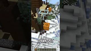 Find Pillager Spawn Spots for a Raid Farm minecraft [upl. by Hosfmann]