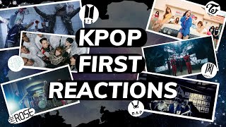 First Reaction to BTS Twice SHINee Monsta X The Rose and BAP [upl. by Efar]