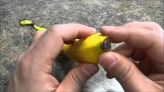 How To Peel A Banana PROPERLYTutorial [upl. by Akemaj]