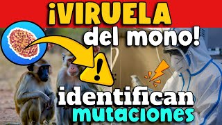 IDENTIFICAN MUTACIONES EN VIRUELA MONO [upl. by Haile]