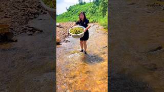 Amazing Fresh Hazelnut 🌰🌰 Harvest from Farm amp Rural Farmer Activites 👍 shorts satisfying [upl. by Ciccia]