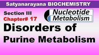 Chp17 Satyanarayana Biochemistry  Disorders associated with PURINE Metabolism [upl. by Birkner]