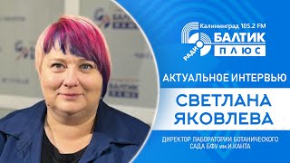 Актуальное интервью Светлана Яковлева  директор лаборатории ботанического сада БФУ им И Канта [upl. by Attenohs365]