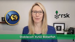 XUSD Explained A stablecoin from Babelfish [upl. by Arretak]