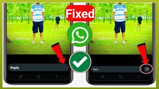 whatsapp new update  How to Fix WhatsApp Status Like Button Option Not Showing [upl. by Yruam]