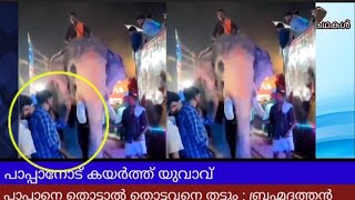 പാപ്പാനോട് കയർത്ത് നാട്ടുകാരൻ പാപ്പാനെ തൊട്ടാൽ തൊട്ടവനെ തട്ടും ബ്രഹ്മദത്തൻ  Pallattu brahmadathan [upl. by Buckingham681]