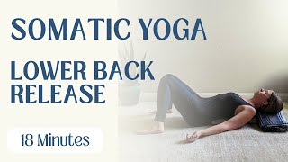 Somatic Release Exercises  Lower Back  Gentle Yoga [upl. by Ibur795]