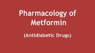 Pharmacology of Metformin Antidiabetic Drug ENGLISH  Dr Shikha Parmar [upl. by Akyeluz]