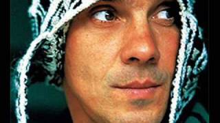 Manu Chao amp Lyricson  Mr Bobby [upl. by Medor140]