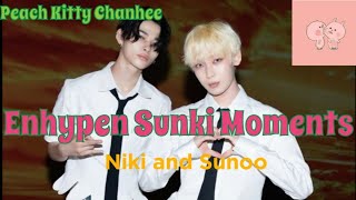 Enhypen Sunki Moments 6  Niki and Sunoo [upl. by Alleinad]