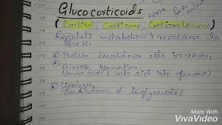 What are glucocorticoids [upl. by Godard149]