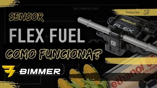 Como funciona el sensor de Ethanol quotFlex Fuelquot y todos sus beneficios [upl. by Terrill920]