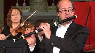 Flute Concerto in D minor Wq22  Allegro Di Molto  CPE Bach Il Gardellino  Jan De Winne [upl. by Amaj]