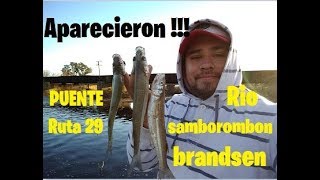 APARECIERON  FLECHAS DE PLATA EN BRANDSEN  RIO SAMBOROMBON 2019 [upl. by Noreg]