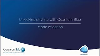 Quantum Blue takes productivity to another level The Quantum Level [upl. by Montgomery]