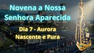 Nossa Senhora Aparecida  Novena Dia 7 A Aurora da Santidade [upl. by Neesay]