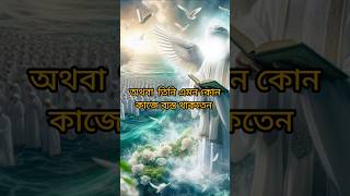 কি কাজে নিজেকে ব্যস্ত রাখেন kahealthandislam nomanalishortsfeed viralvideo nobiji [upl. by Dachy503]