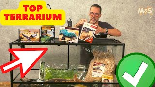 Bartagamen Basics  Dein Start ins Terrarien Leben [upl. by Ilenna]