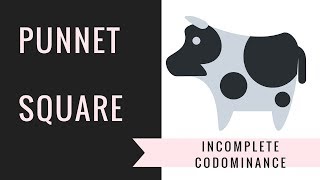 Incomplete Dominance and Codominance Punnett Squares  Setting upSolving [upl. by Papotto239]